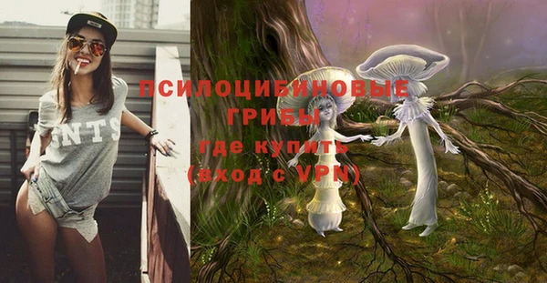 прущие крисы Алексин