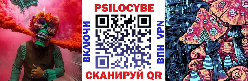 Галлюциногенные грибы MAGIC MUSHROOMS хочу blacksprut как войти Мичуринск